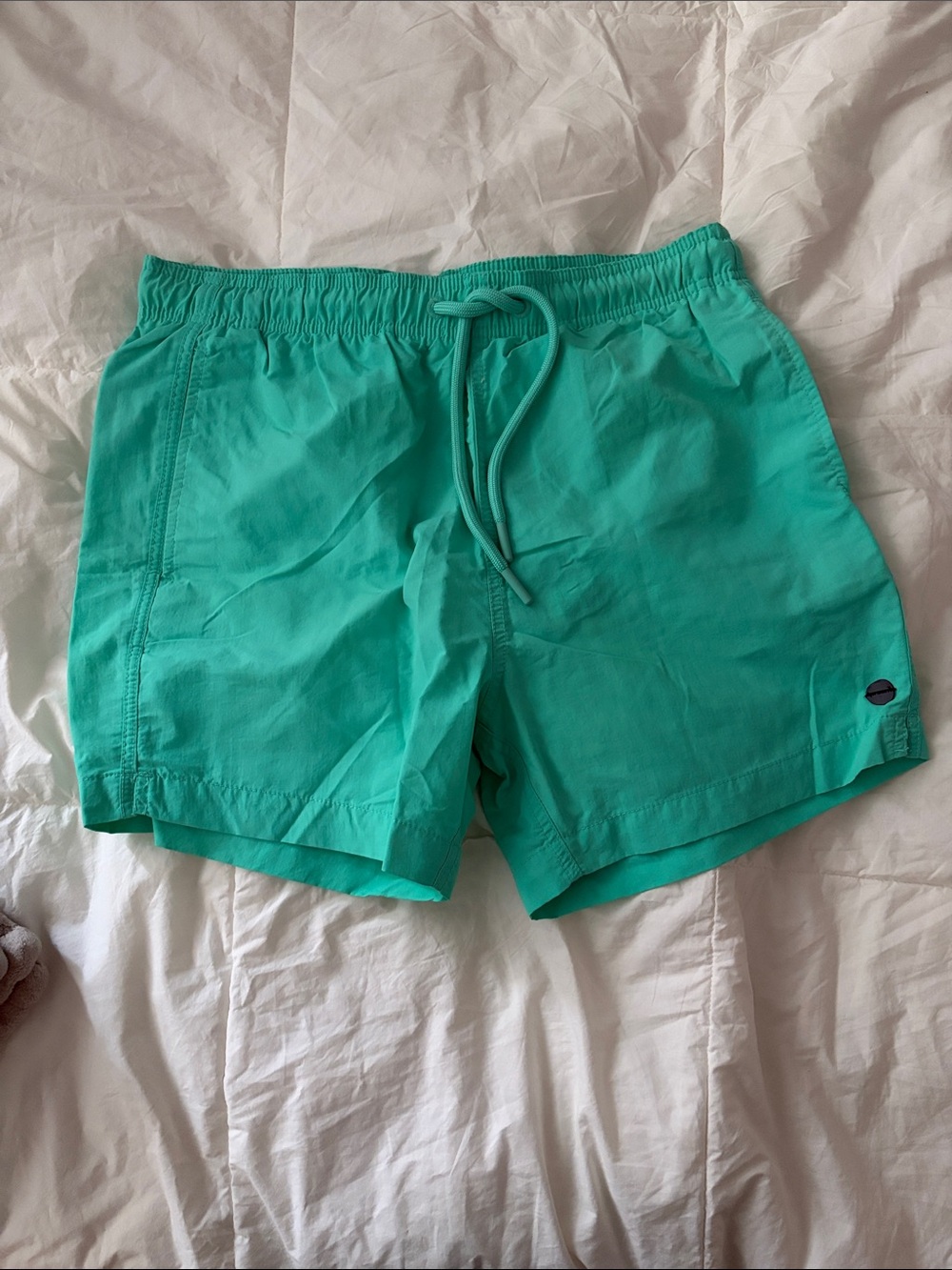 Men's Teal Swim Shorts - Superdry